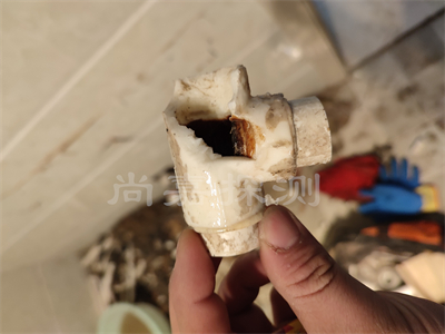 五湖渔场自来水管道漏水检测