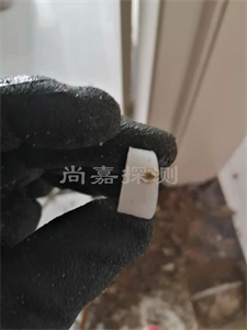 五湖渔场暖气管道漏水检测