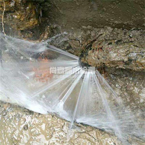 五湖渔场消防管道漏水检测